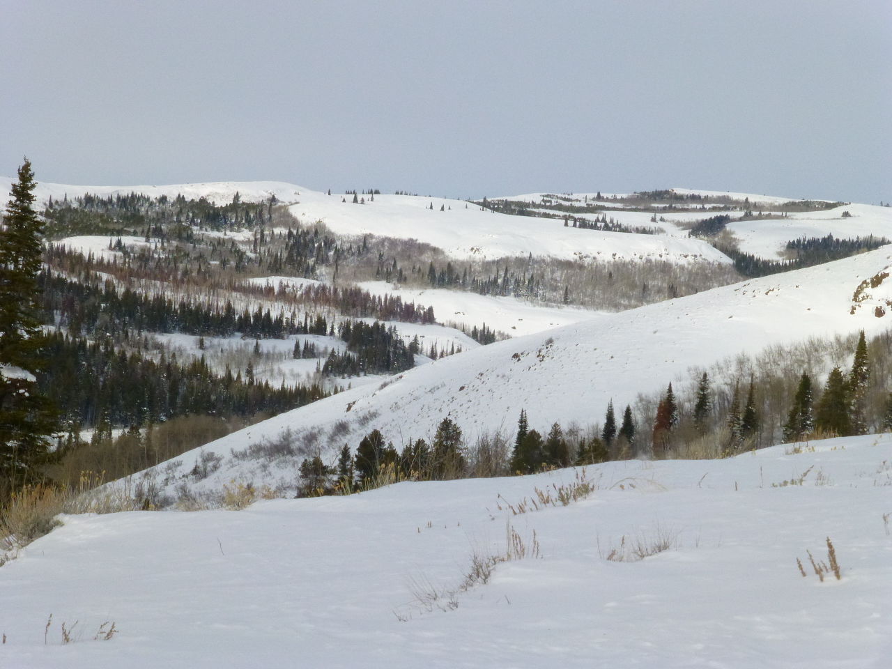 Snow